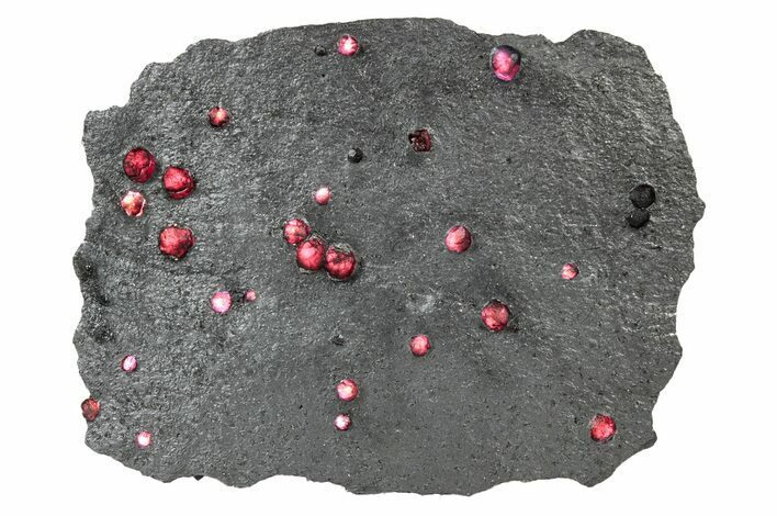 Plate of + Red Embers Garnets in Graphite - Massachusetts #301210